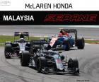 Фернандо Алонсо, седьмой в Гран-при Малайзии 2016, с его McLaren